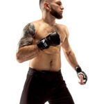 Custom MMA Gloves (Fight and Sparring)